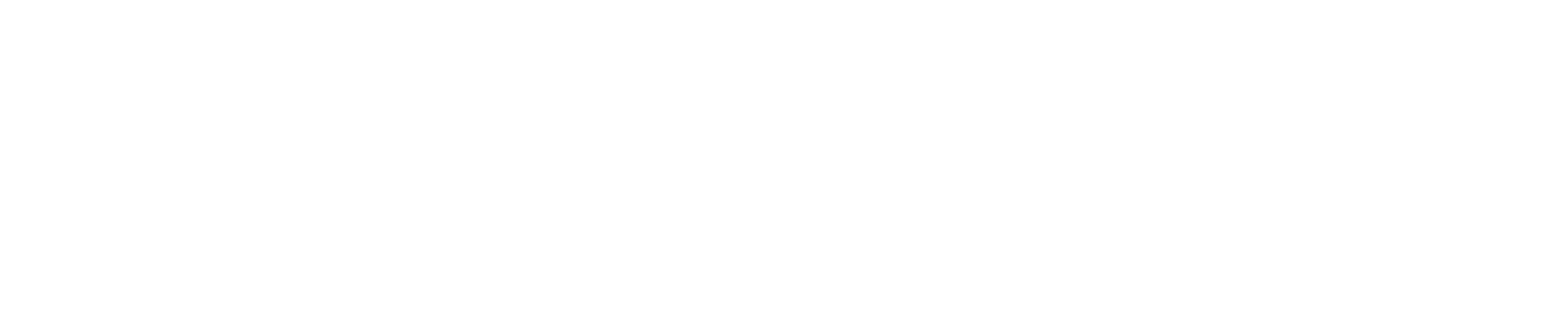 logo-transparent-w
